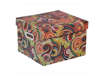 CAIXA 23X31X19CM POLIONDA...