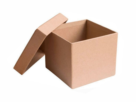 CAIXA 44X31X21 PAPELAO KRAFT C/TAMPA