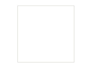 PAPEL SCRAP.LISA BRANCO...