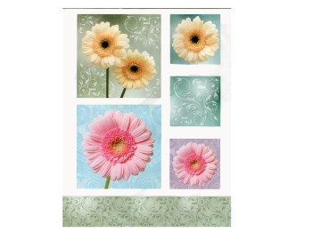 DECOUPAGE SABONETE...