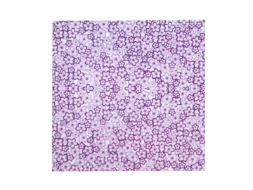 PAPEL SCRAP.LITOCART 30X30-LSC