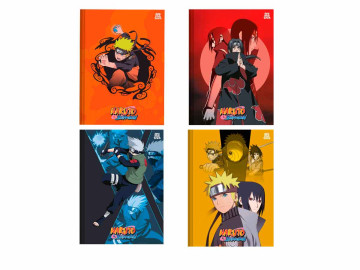 CADERNO BROCHURAO...