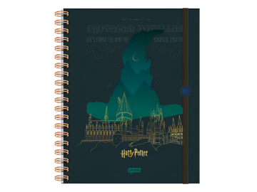 CADERNO ESPIRAL  80F.HARRY...