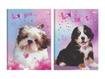 CADERNO BROCHURAO 60F.MY...