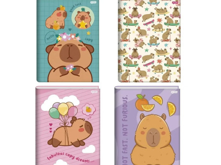 CADERNO BROCHURA 80F.CAPYVIBES CD