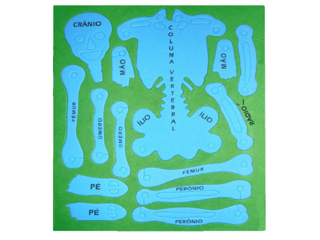 CORPO HUMANO EM EVA RECORTADO