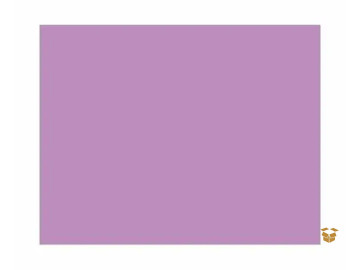 BORRACHA EVA LISO LILAS...