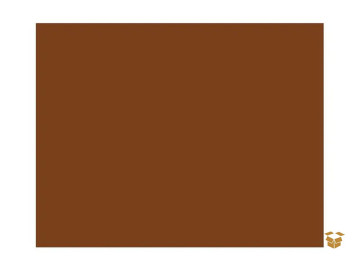 BORRACHA EVA LISO MARROM...