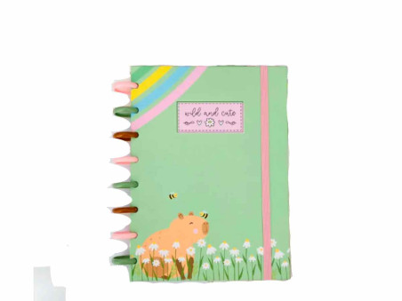 CADERNO INTELIG.100F.CAPIVARAS 120G.