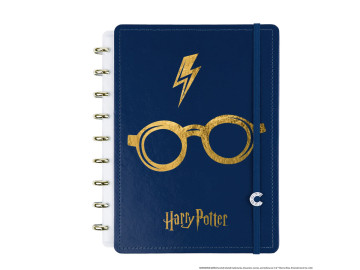 CADERNO INTELIG. 80F.HARRY...