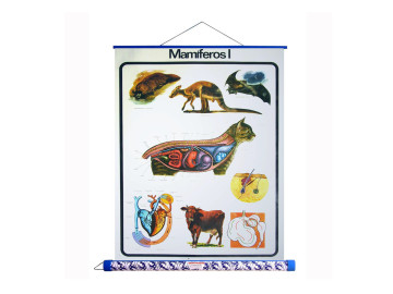 MAPA MAMIFEROS I PAINEL E TUBO