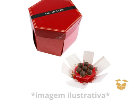 CX.13X13X13 EXPLOSAO HEXA C/10