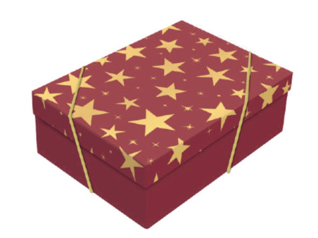 CX.33X46X14 ELITE VERMELHO/OURO G