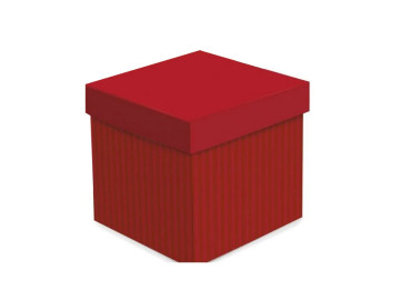 CX.15X15X15 CUBO VERMELHA-AV