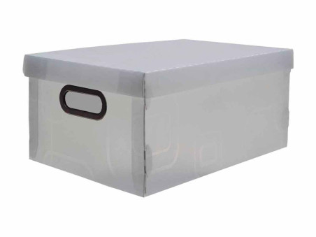 CX.38X29X15 TRANSPARENTE BOX COLECAO