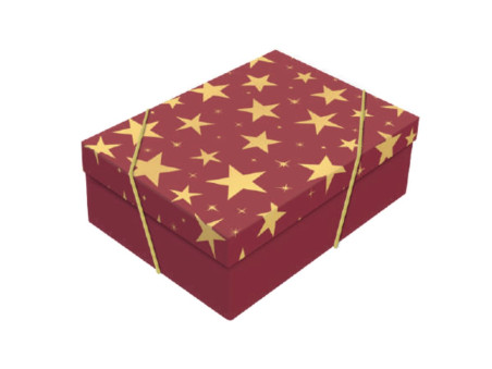 CX.25X35X11 ELITE VERMELHO/OURO M