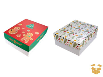 CX.31X25X12 BOLO FESTA...