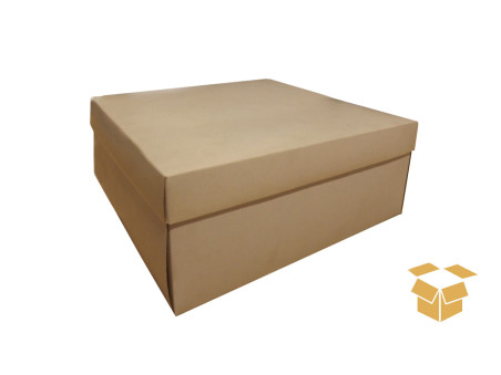 CX.19,5X19,5X7,5 KRAFT C/5