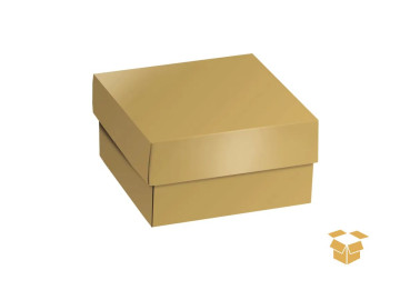 CX.10X10X4 GLAM GOLD OURO C/10