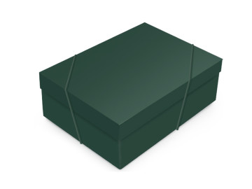 CX.35X25X11 VERDE...