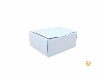 CX.04,0X 4,5X2,0 BRANCA C/100