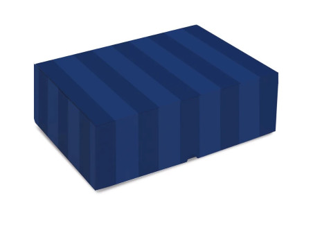 CX.25X18X8,5 REALCE POLO AZUL-AV.