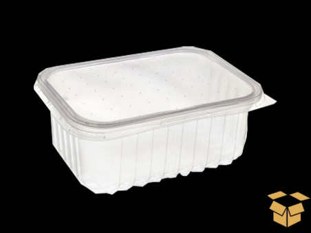 POTE DESC. 250ML.TR.RET.C/TAMPA.PP.C/24