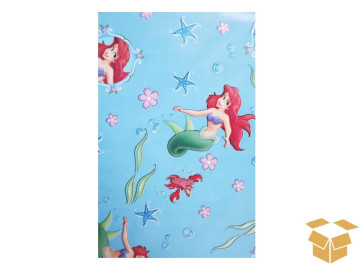 ENVELOPE 35X54 PEQUENA...