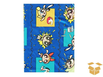 ENVELOPE 10X15 AS...