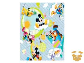 ENVELOPE 20X29 SKY C/100