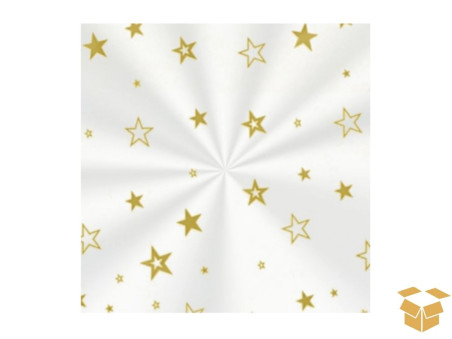 ENVELOPE TR.20X29 ESTRELA OURO C/50
