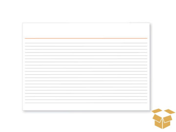 FICHA 6"X9" PAUTADA N.4...