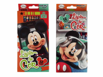 LAPIS COR  12 CORES...