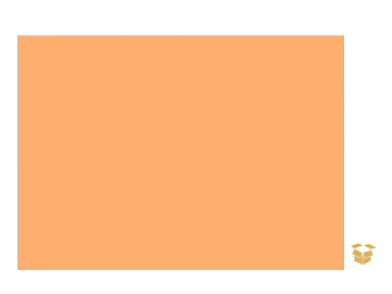 PAPEL CAMURCA SALMAO 40X60...