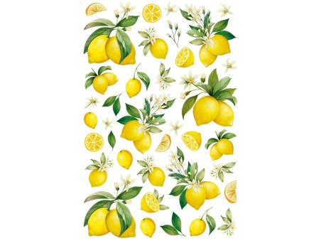 TRANSFER IMAGEM LIMOES-BIG