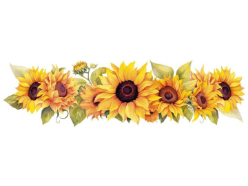 TRANSFER TEXTIL BARRA LILI...