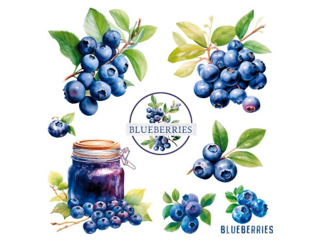 TRANSFER TEXTIL BLUEBERRY -13,5X13,5CM