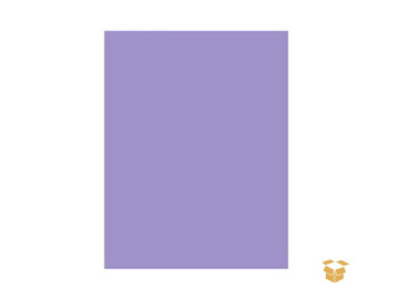 PAPEL A4 COLOR LILAS 120G.C/50