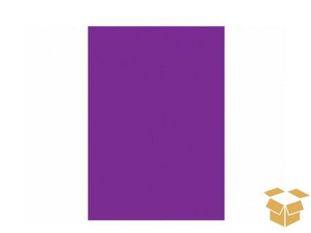PAPEL A4 COLOR VIOLETA 120G.C/50