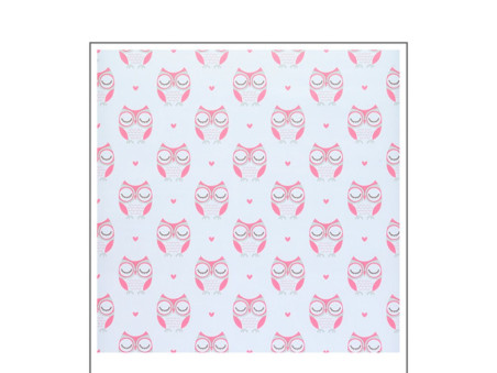 PAPEL CONT.CORUJINHA BRANCO/RS.10M.60MIC