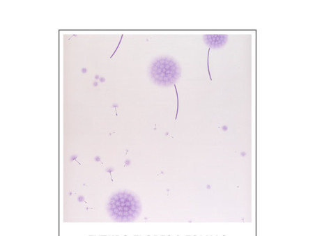 PAPEL CONT.FLORES E FOLHAS 5-10M.60MIC