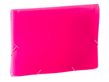 PASTA SANF.A4 06D.PP.ROSA...