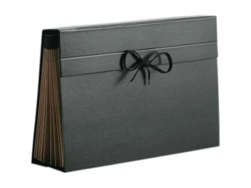 PASTA SANF.OF.31D.PAPELAO...