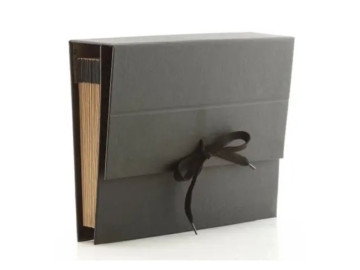 PASTA SANF.DU.31D.PAPELAO...