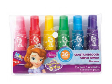 CANETA HIDR.06 CORES...