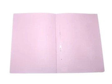 PASTA GRAMPO PP EXEC.ROSA...