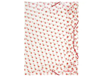 PASTA ABA ELASTICO TREND...