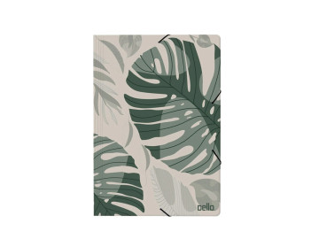 PASTA ABA ELASTICO...