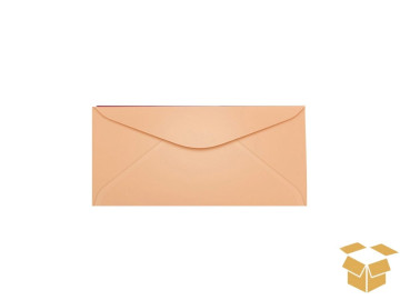 ENVELOPE 114X229 SALMAO...