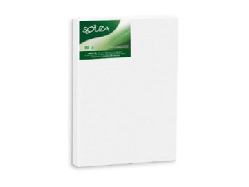 TELA PINTURA  40X 60...